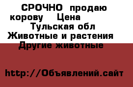 СРОЧНО. продаю корову. › Цена ­ 70 000 - Тульская обл. Животные и растения » Другие животные   